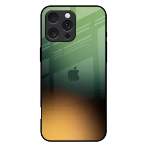 Blurry Forest Glass Case for iPhone 16 Pro Max Urban Texture