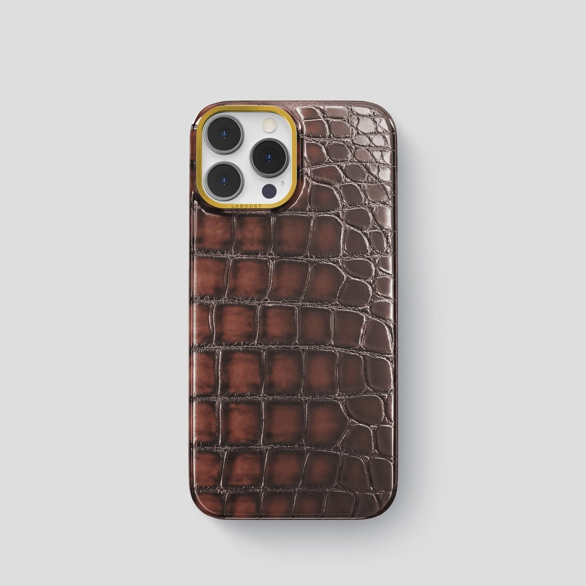 Stylish frame Classic Case For iPhone 15 Pro In Patina Alligator