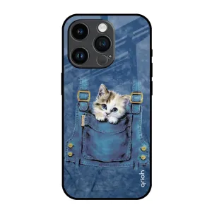 Fashion Design Luxury Pattern Kitty In Pocket Glass Case For iPhone 14 Pro