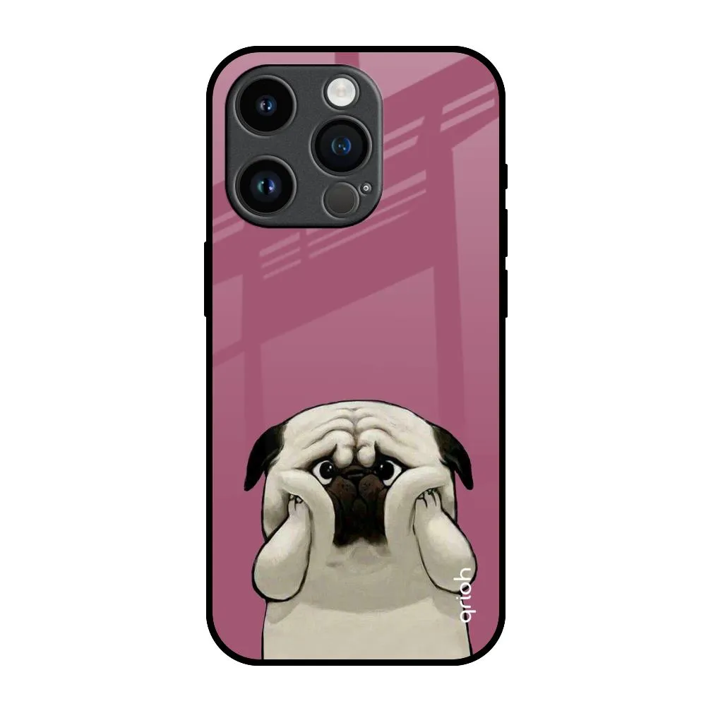 Everyday Use Protective Shell Design Funny Pug Face Glass Case For iPhone 14 Pro