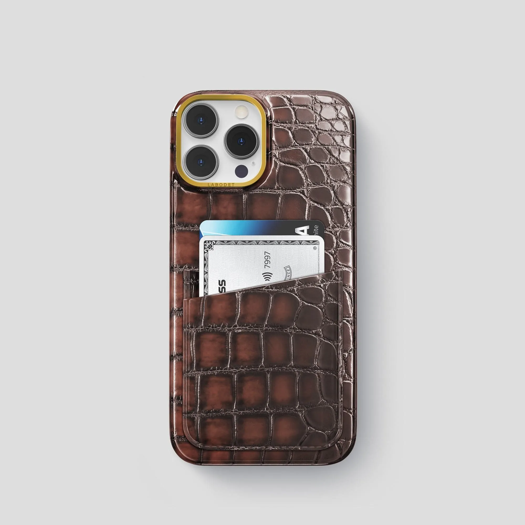 Creative Artwork Double Card Case For iPhone 15 Pro In Patina Alligator