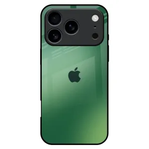 Fashion Choice Green Grunge Texture Glass Case for iPhone 17 Pro Max